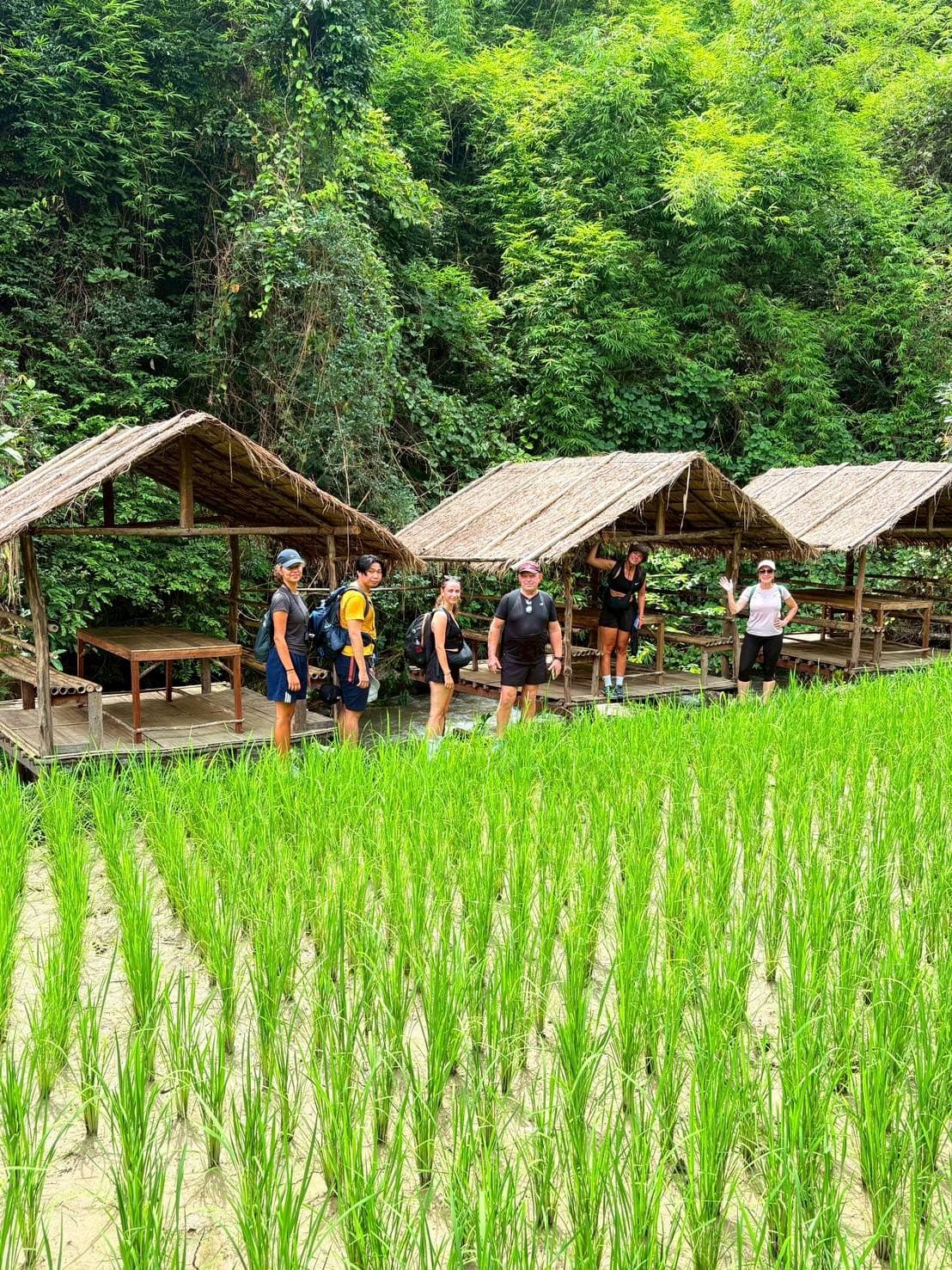 Chiang Mai Trekking 2D1N