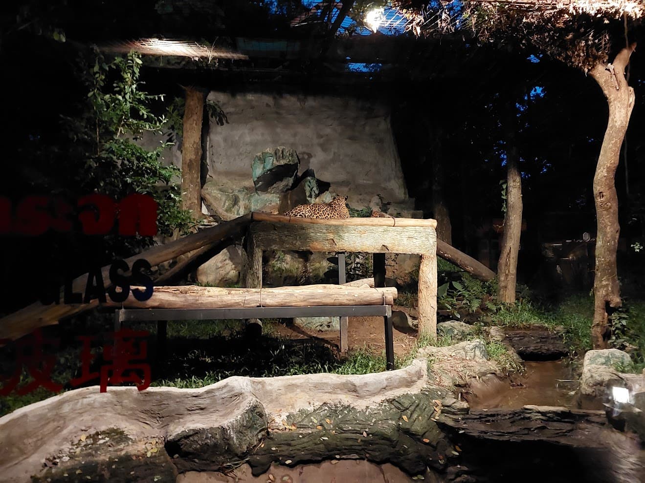 Chiang Mai Night Safari