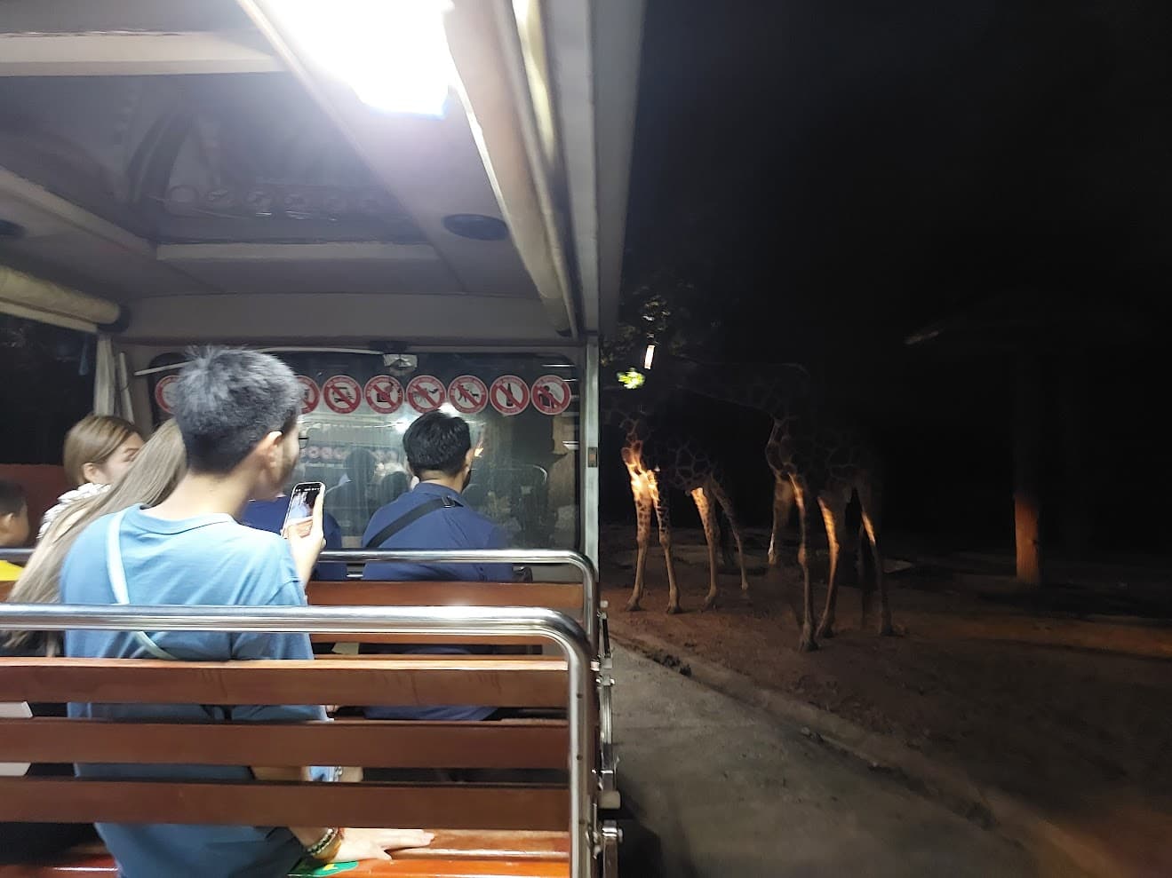 Chiang Mai Night Safari