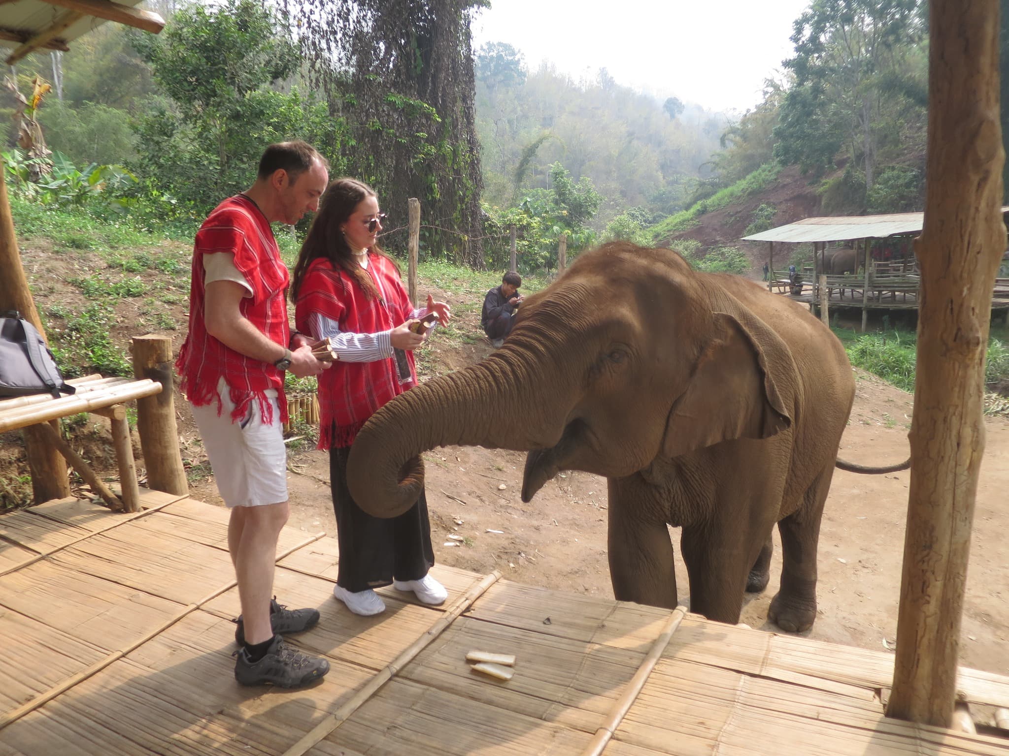 Day Trip: Sticky waterfall, White water rafting and Elephant care