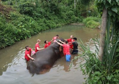 Day Trip: Sticky waterfall, White water rafting and Elephant care