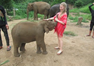 Day Trip: Sticky waterfall, White water rafting and Elephant care