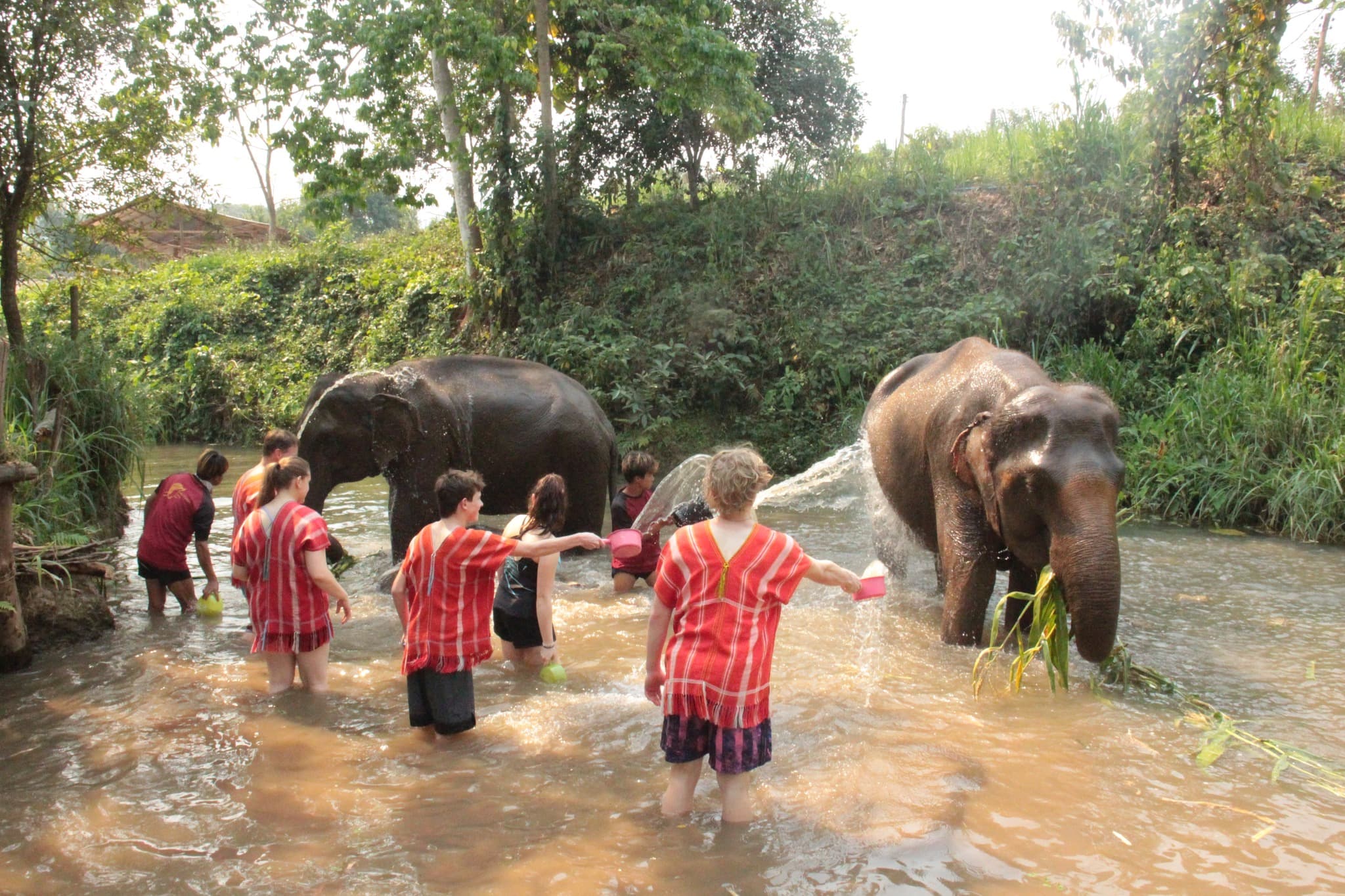 Day Trip: Sticky waterfall, White water rafting and Elephant care
