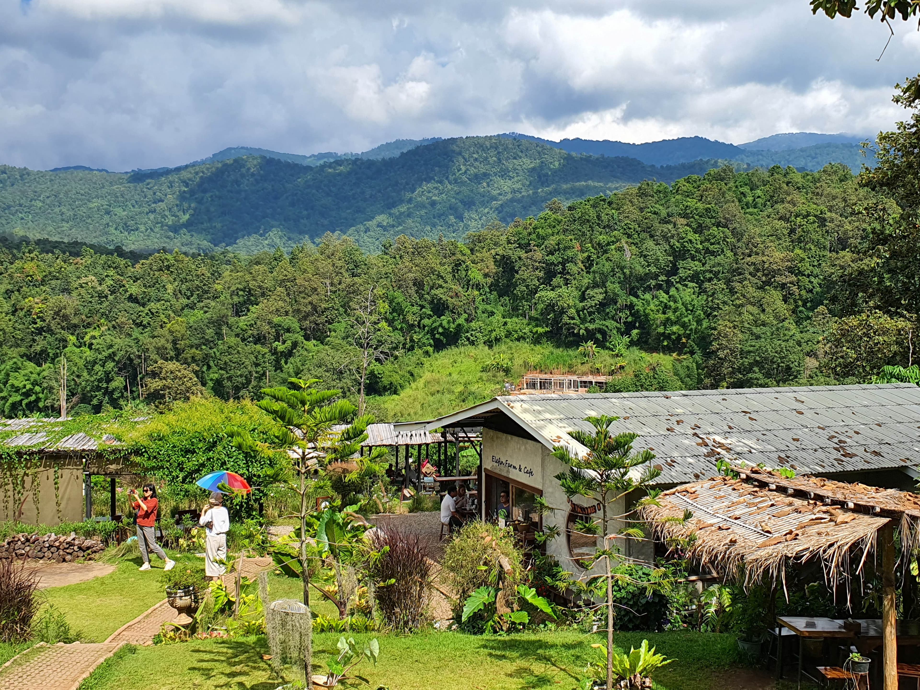 Chiang Mai Soulful Escape: Elefin Farm Elephant cafe, Cypress Lanes & Baan Kang Wat