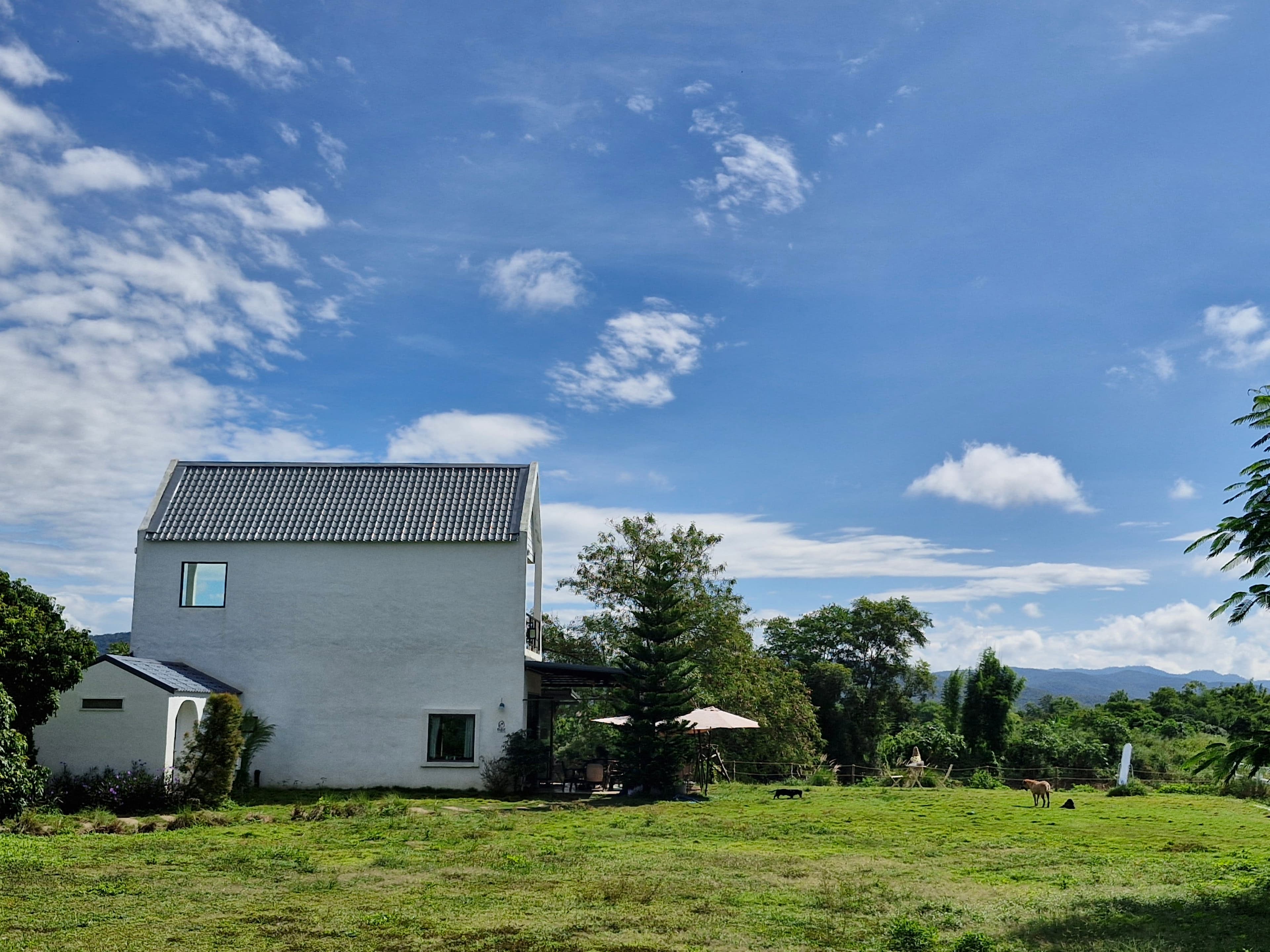 Chiang Mai | Scenic Mon Jam Hill & Cozy Elely Café Half-Day Tour 