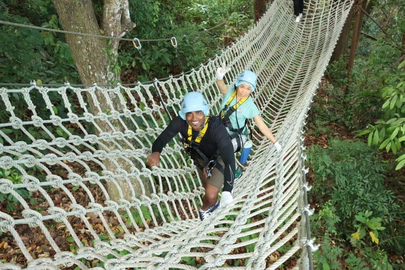 KingKong Smile ZIpline - Ultimate