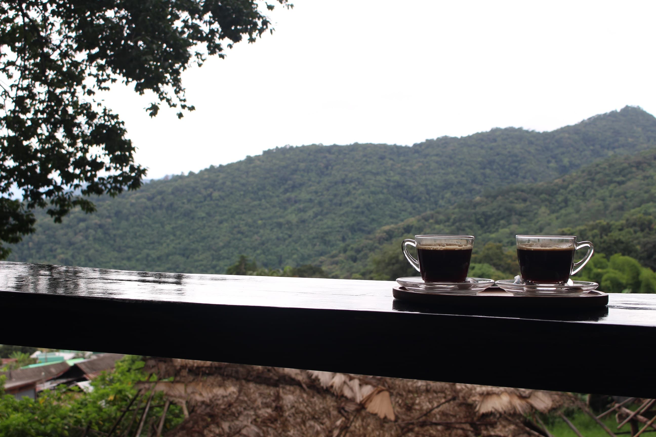 Chiang Mai | Doi Suthep Temple & Hmong Hill Tribe Village Half-Day Tour 