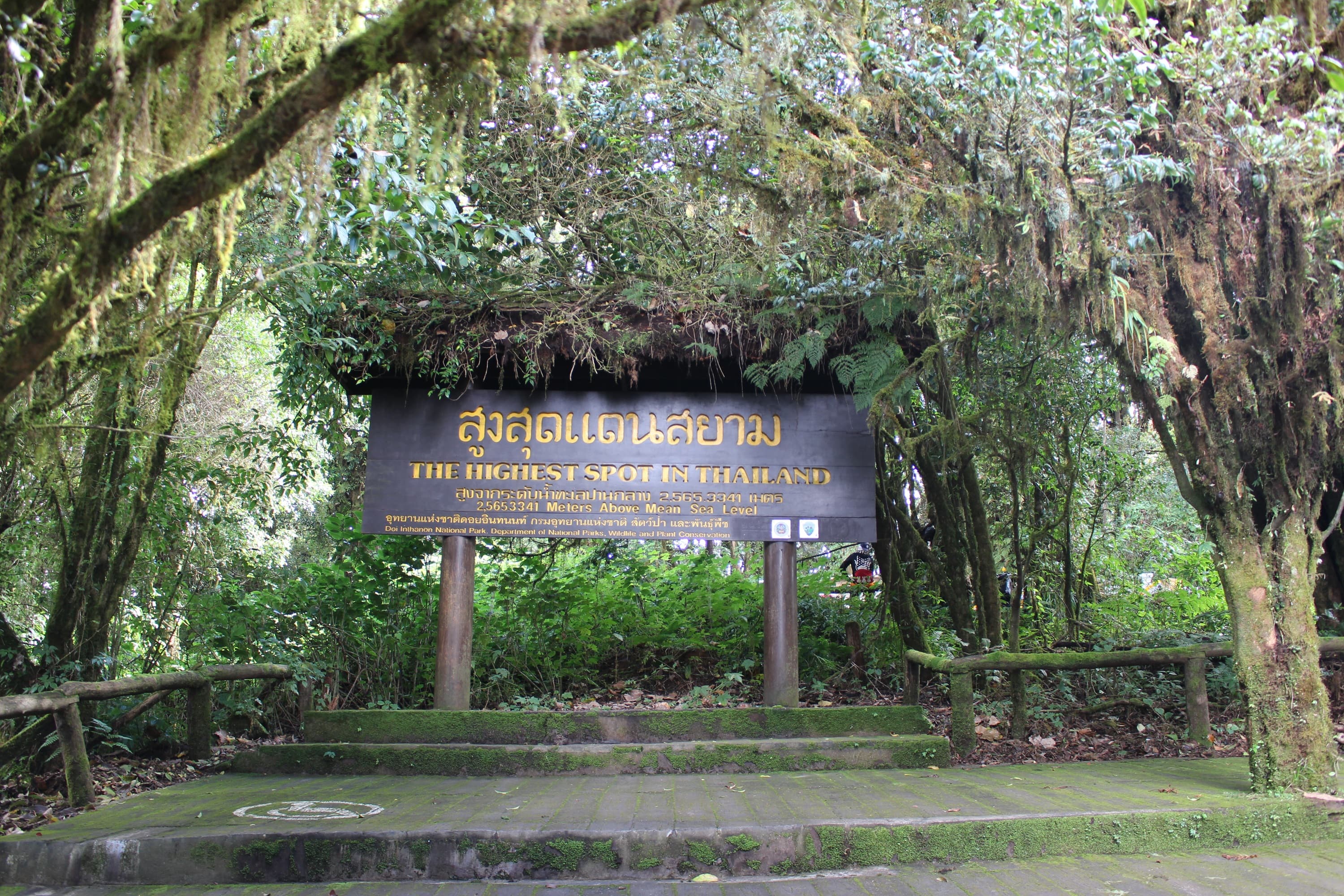 Chiang Mai: Doi Inthanon National Park One-Day Highlights Experience with Scenic Trekking