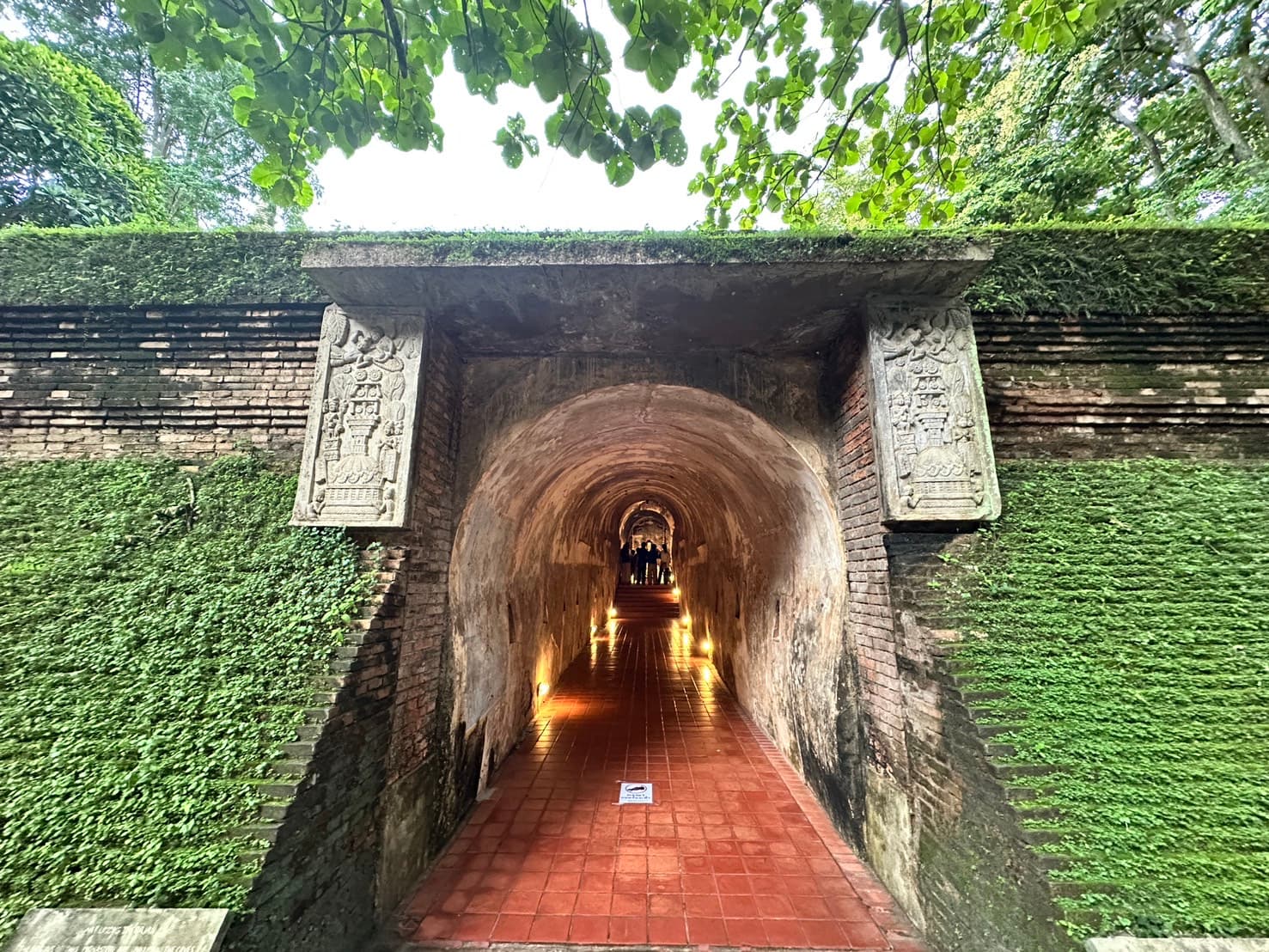 Chiang Mai | Doi Suthep and Wat Umong Night Tour