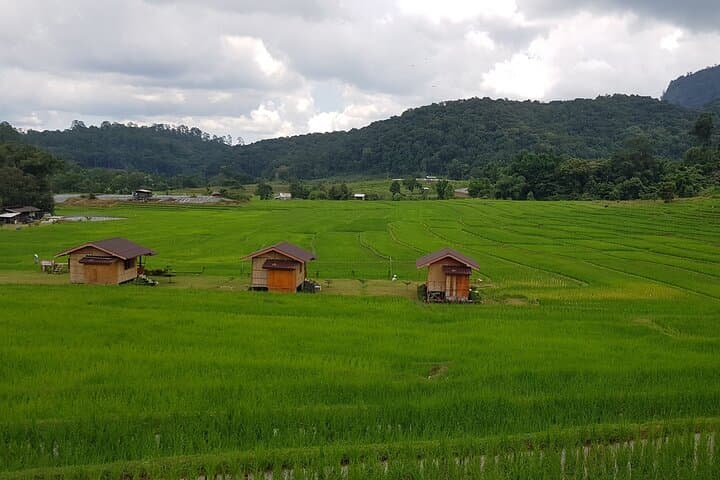 Chiang Mai | Doi Inthanon National Park Day Tour – Thailand’s Highest Point | Easy Nature Escape from Chiang Mai