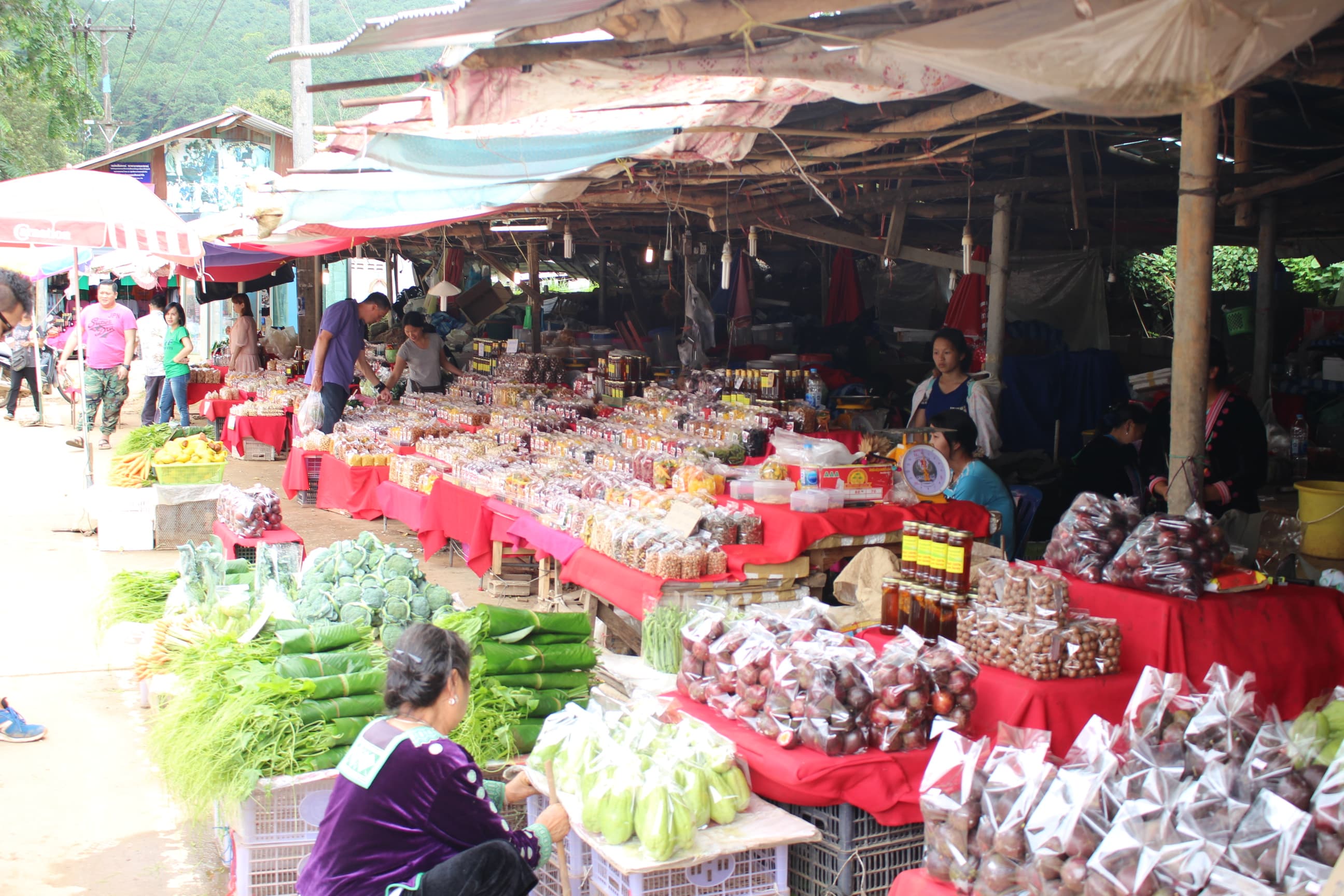 Chiang Mai | Doi Inthanon National Park Day Tour – Thailand’s Highest Point | Easy Nature Escape from Chiang Mai