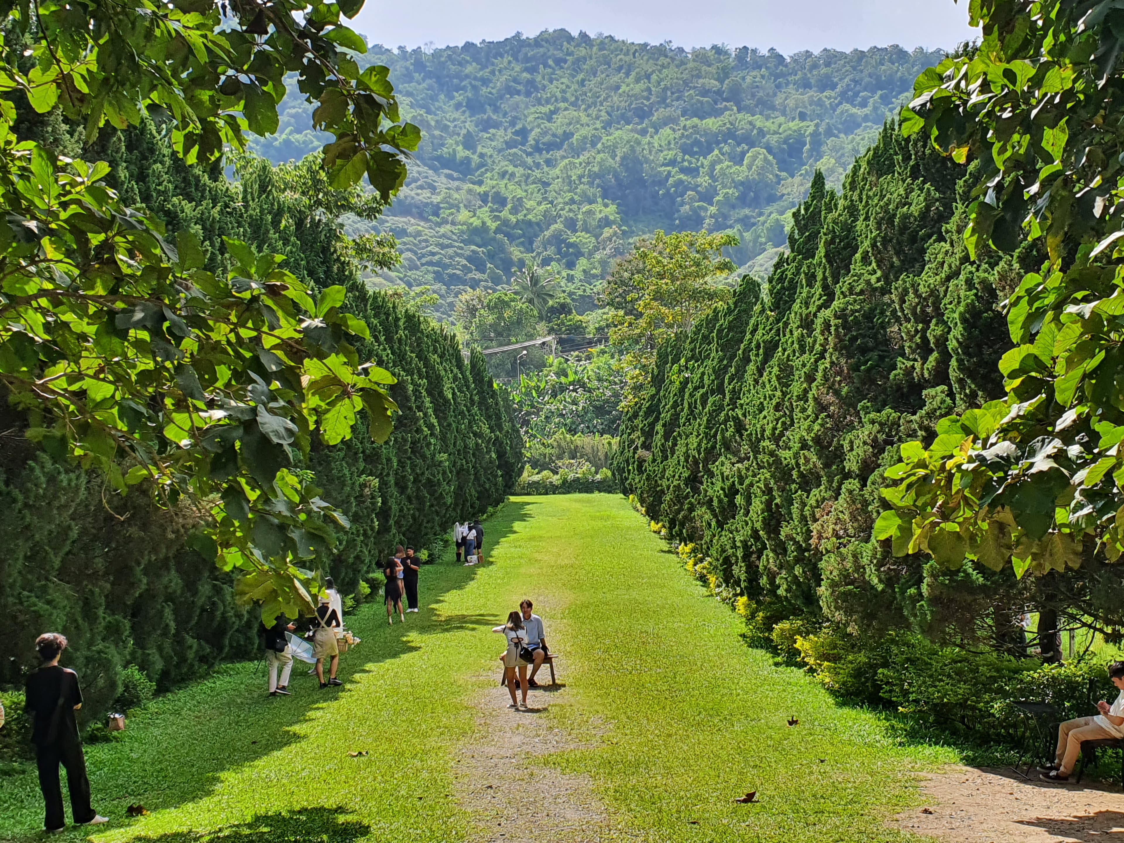 Chiang Mai Soulful Escape: Elefin Farm Elephant cafe, Cypress Lanes & Baan Kang Wat
