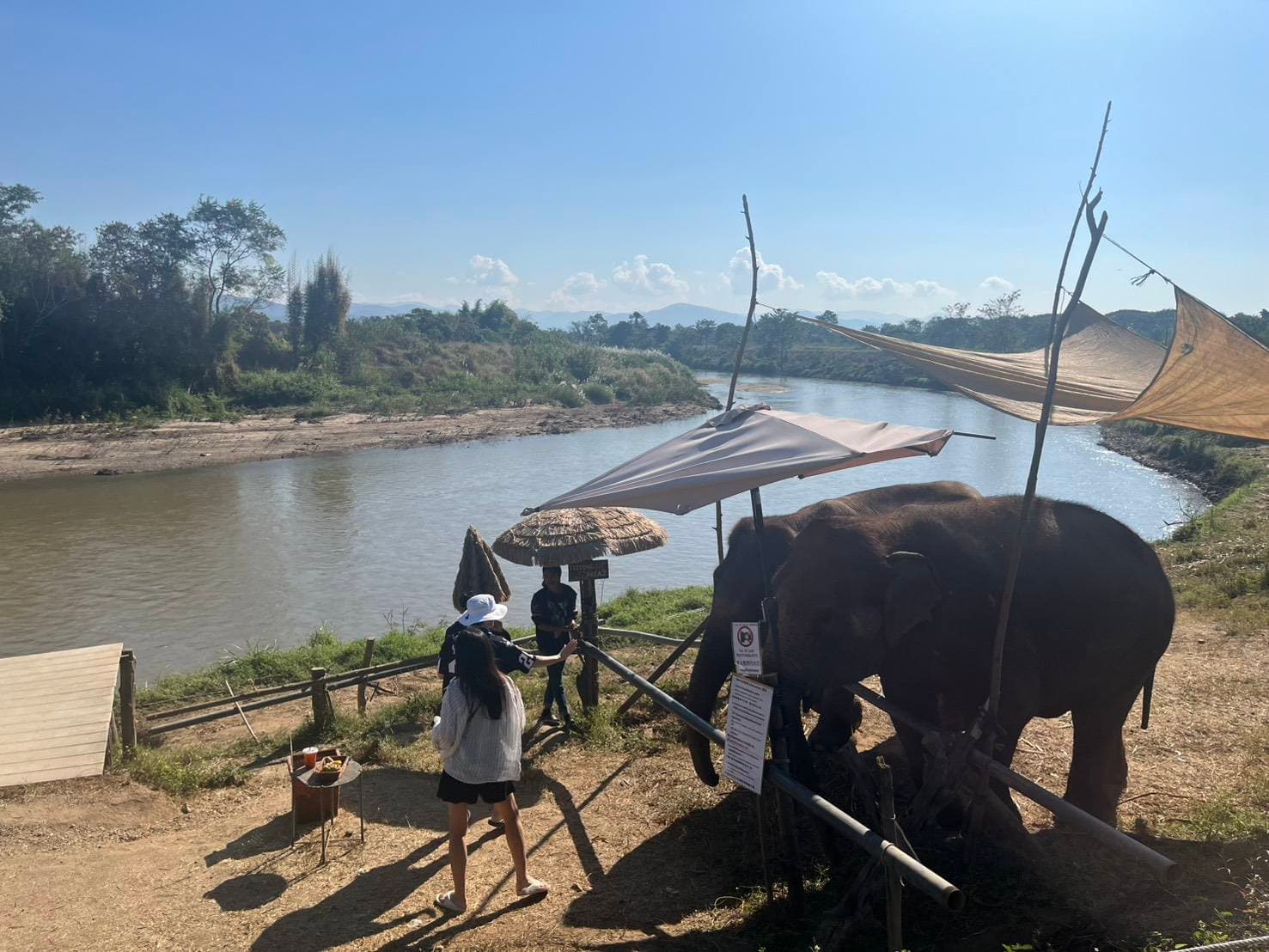 Chiang Mai | Scenic Mon Jam Hill & Cozy Elely Café Half-Day Tour