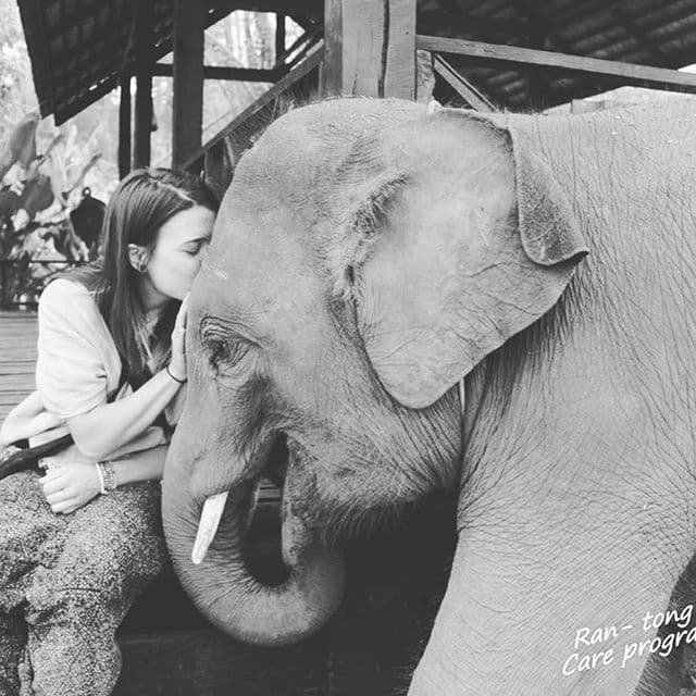 RanTong Elephant Sanctuary