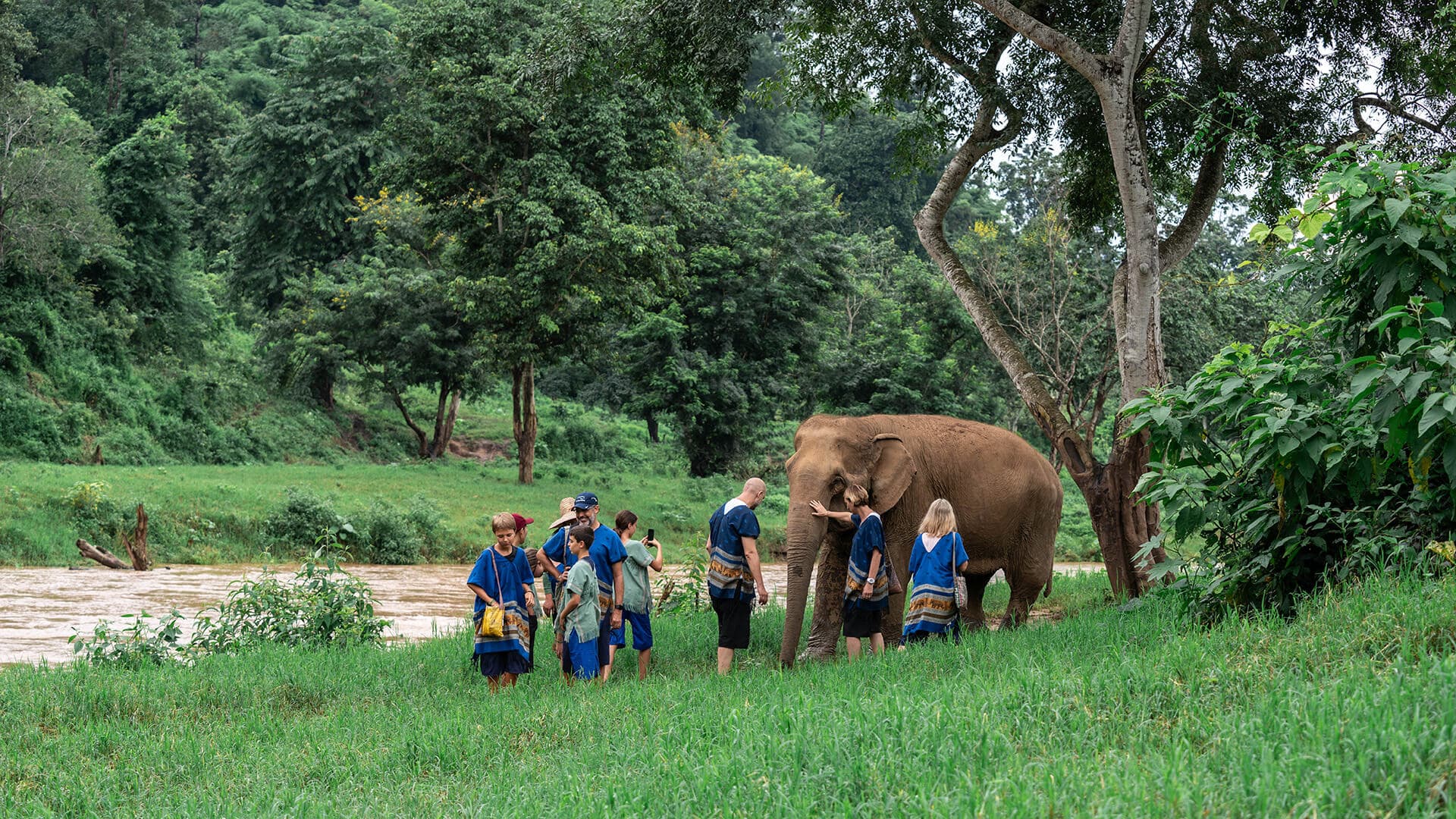 Activities at Elephant place
