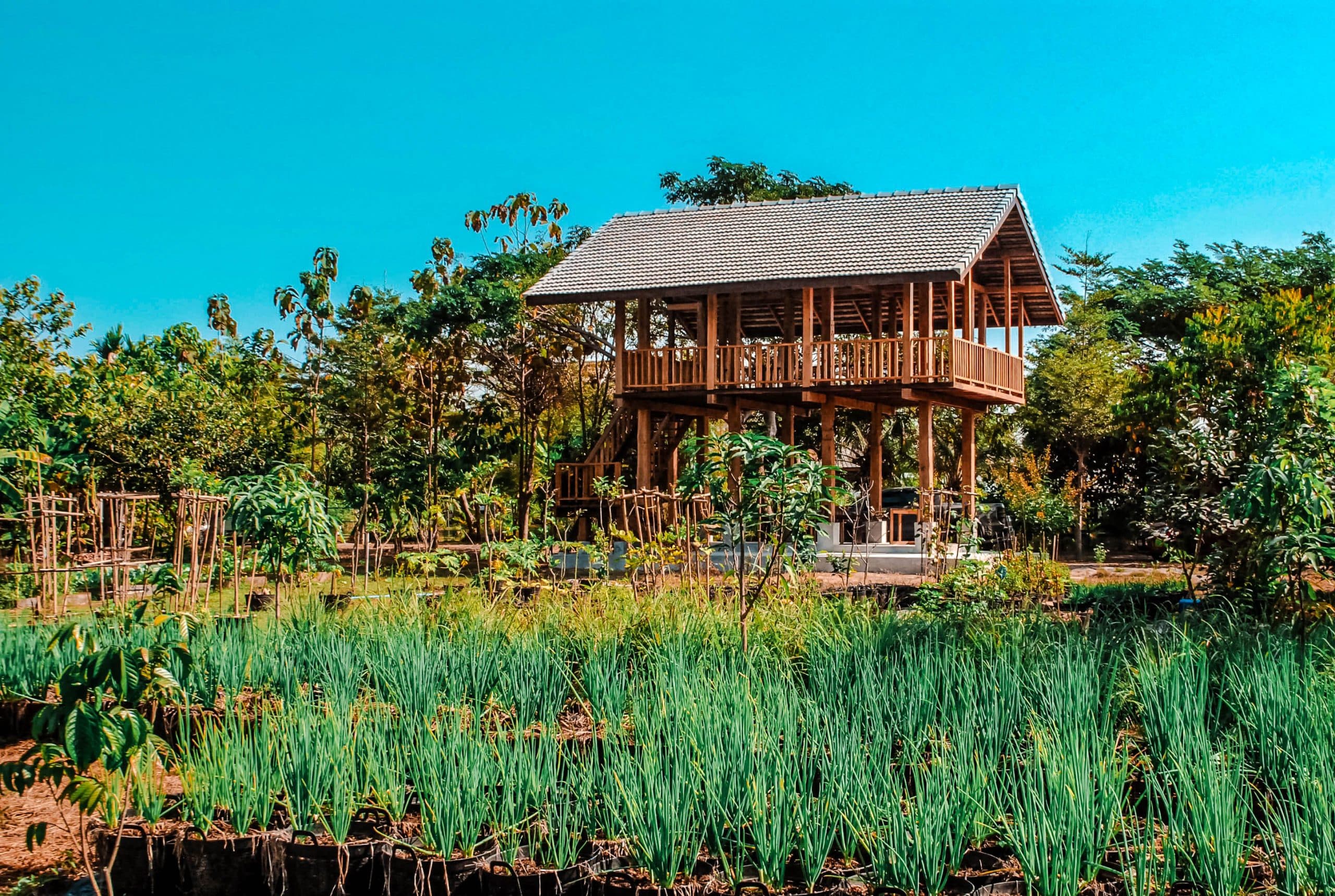 The rice barn thai cooking farm
