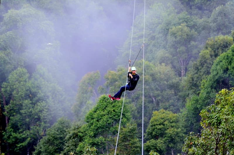 KingKong Smile ZIpline - Ultimate