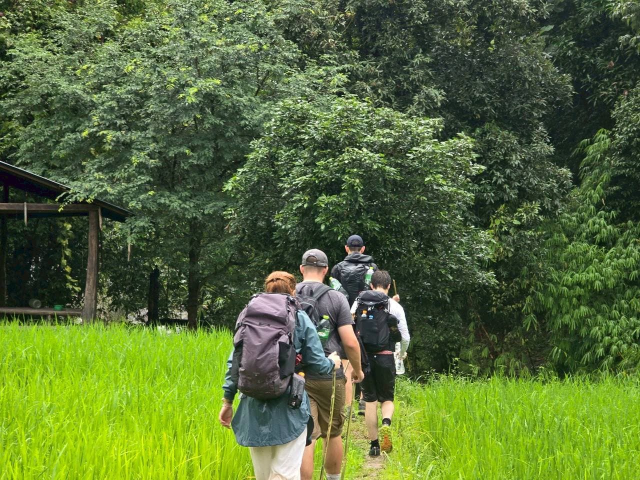 Chiangmai oneday trekking